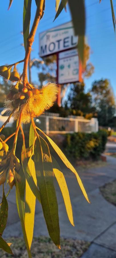 Golf Links Motel タムワース エクステリア 写真